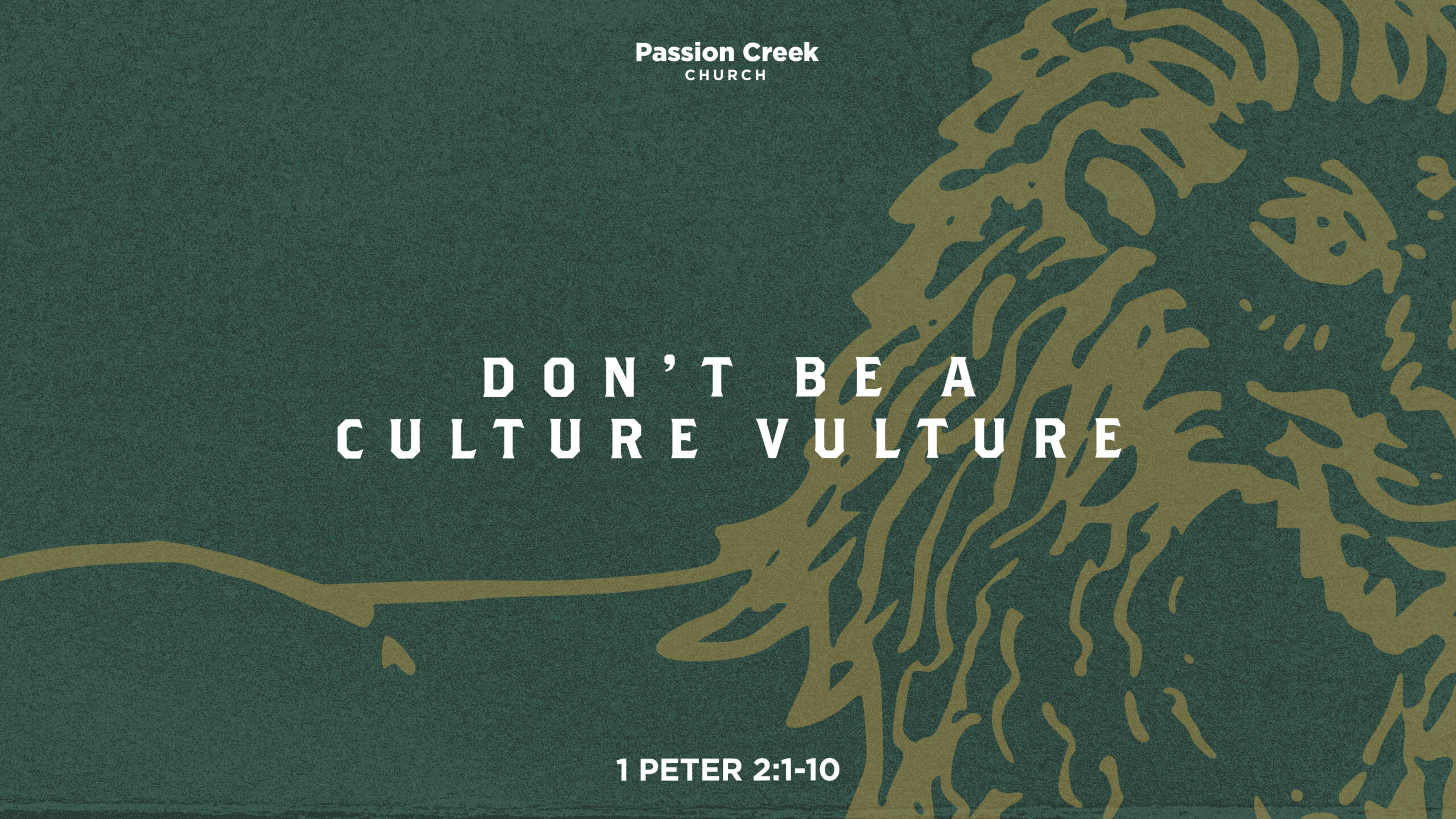 don't be a culture vulture