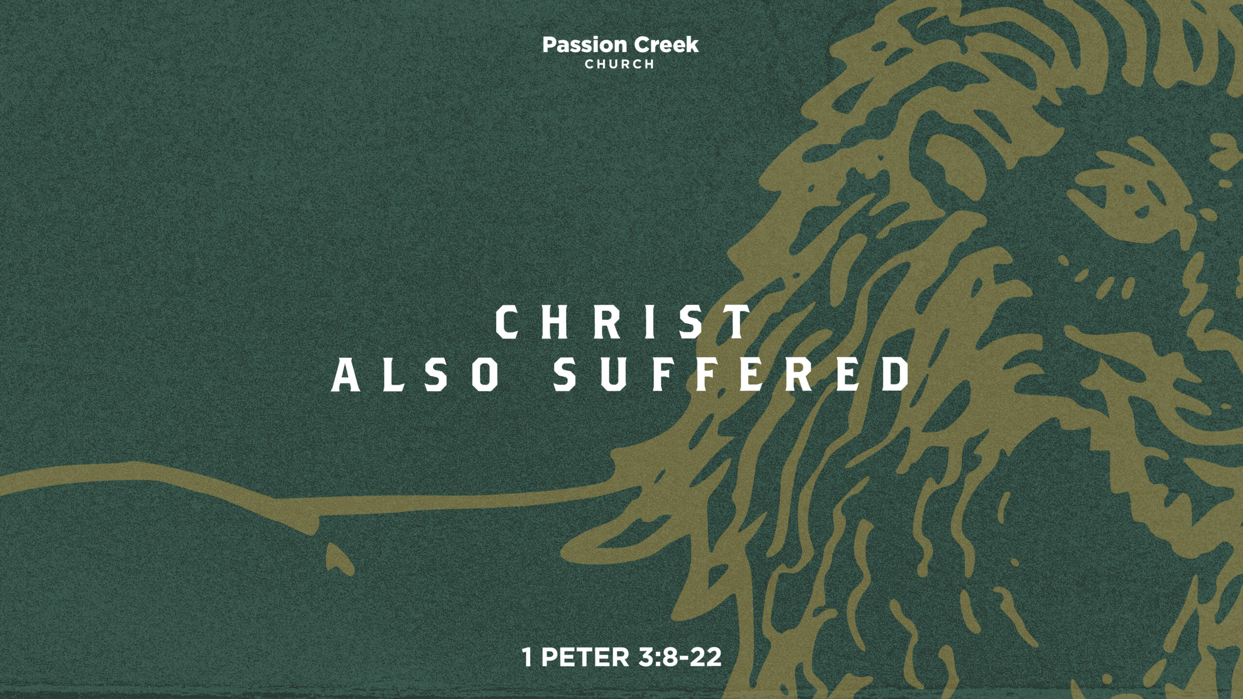 Christ also suffered