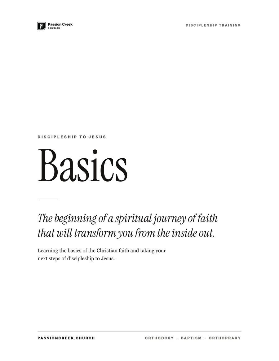 The Basics guide — title page